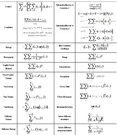 Table 2. All of 22 feature extraction equations of the GLCM