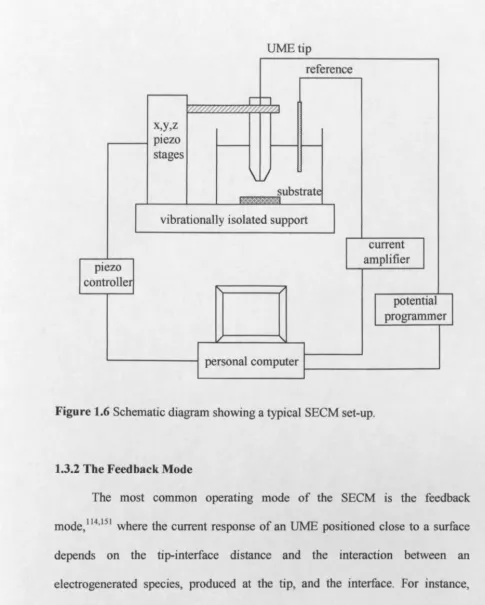 Figure 1.6 Schematic diagram showing a typical SEeM set-up. 