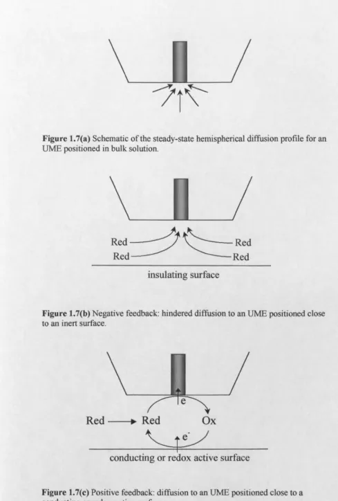 Figure 1.7(a) Schematic UME of the steady-state hemispherical diffusion profile for an positioned in bulk solution