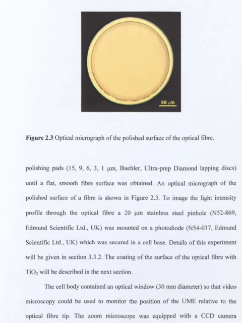 Figure 2.3 Optical micrograph of the polished surface of the optical fibre. 