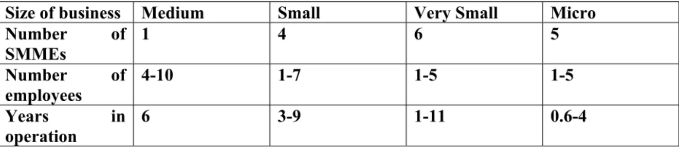 Table  2  is  constructed  based  on  the  National  Small  Business  Amendment  Act  (2003)  criteria