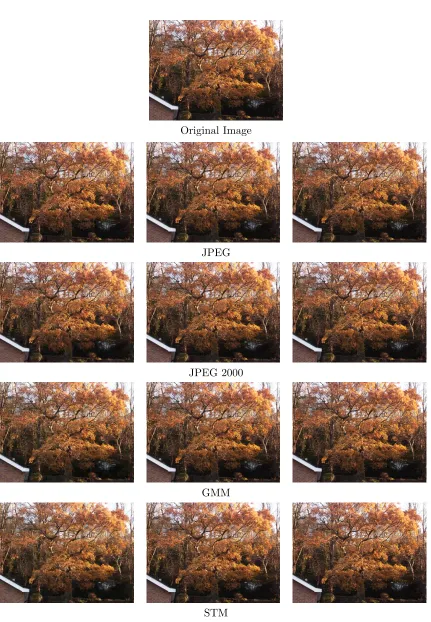 Figure 9: Reconstructions after compression by JPEG, JPEG 2000 or the proposed methodwith a GMM of STM