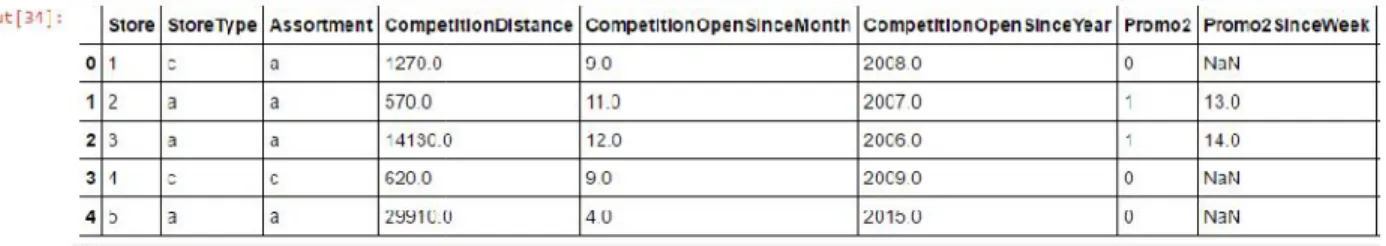 Table 1: Store data representation