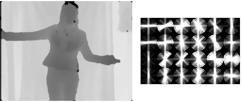 Figure 4: Example visualisation of the HOG features