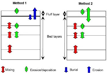 Figure 4.3 The concept of two types of fluff layer (Van Kessel, et al., 2012). 