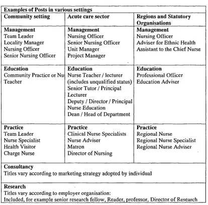 Table 2.2: Examples of job titles used by three different domains of nursing