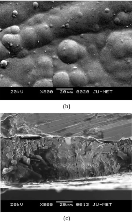 Fig. 5. SEM image of Ni-P-W coating (a) as-plated, (b) heat treated at 400 °C (1h) and (c) cross-cut section