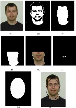 Fig. 5: (a) main image, (b) skin region, (c) skin region after morphological processing,(d) half region, (e) half region transformed to normalised RGB colour space,(f) lip detected area, (g) approximated face shape, (h) detected face in image
