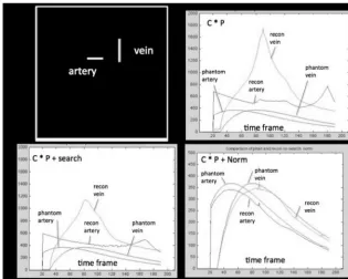 FIG 3. Demonstration of the effects of reconstruction elements on accuracy of reconstructedbinaryconstrainingimagefollowedbynormalizationbytheestimateofthenumbersofprojectedrayvoxelsobtainedfromtheconstrainingimage(Csimulated vessel signal curves