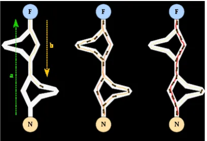 Fig. 1: All ants take the shortest pathafter an initial searching time