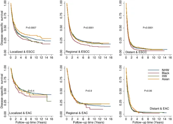 Figure 4: Comparison of disease-specific survival (DSS) rates by different racial/ethnic groups adjusted by stage and  tumor histology.