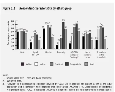 Figure 1.1Respondent characteristics by ethnic group