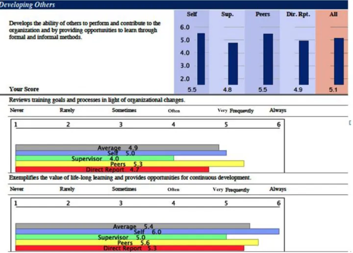 Figure 3 - Sample 360 Assessment Report 