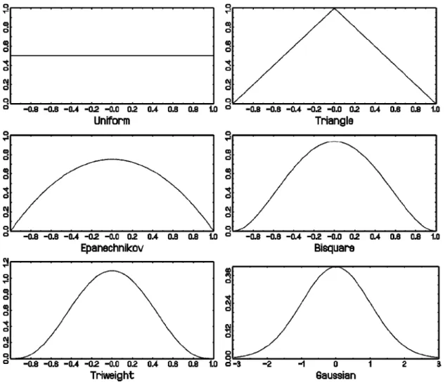 Figure 2.1. Some popular kernel functions in practice