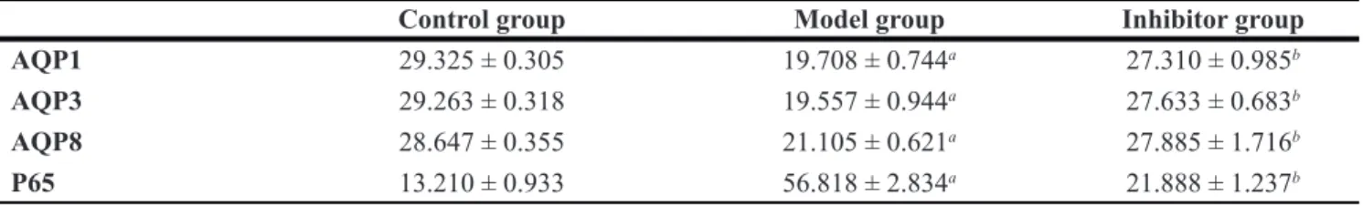 Table 4: The expressions of AQP1, AQP3, AQP8 and NF-κB p65 in the colon by Western bolt  technique