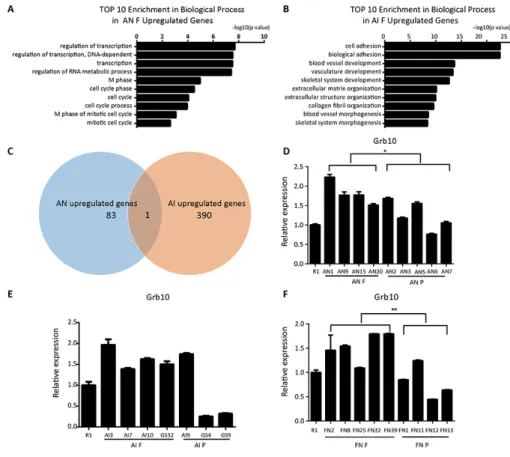 Figure 4: Grb10 is associated with the pluripotency state in ntESCs.  (A) GO analysis based on the upregulated genes from  the comparison of fully and partially reprogrammed AN cells performed by David Bioinformatics Resources