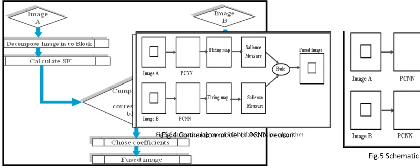 Fig.5Fig.4 Schematic Connection diagram model of PCNN of‐based PCNN fusion neuron algorithm  