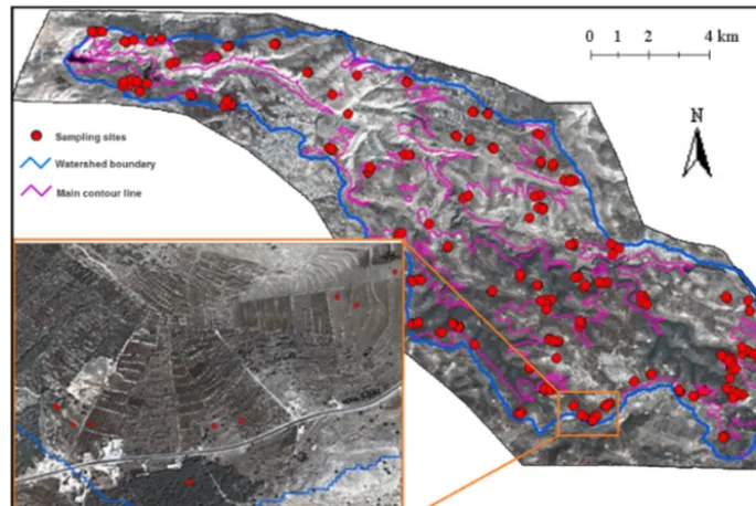 Figure 2. Distribution of sampling sites within the Wadi Ziqlab catchment.