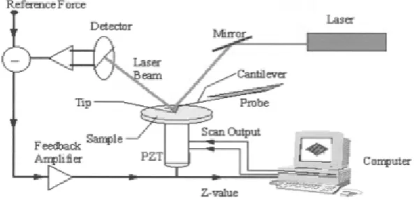 Figure 3.7: Schematic view of an AFM. Figuretaken from [20].