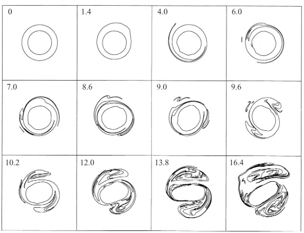 Figure 11( = 2) mode. This vortex severely deforms and a rotating tripolarits late stage of evolution