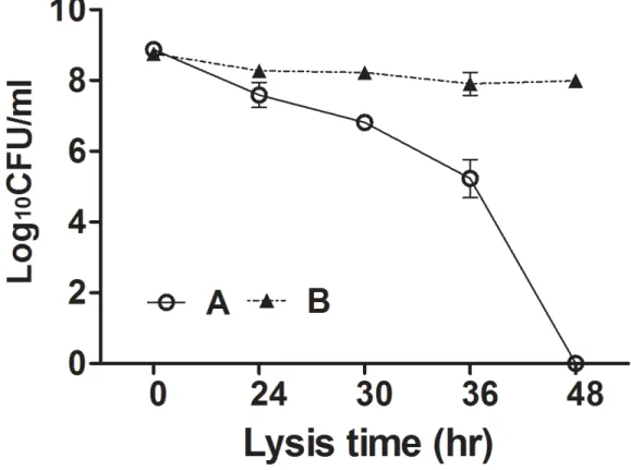 Figure 4: Loss of viability of JOL1675 during formation of ghost cells. S. Typhi JOL1675 grown to exponential phase were  inactivated by induction of the lysis genes