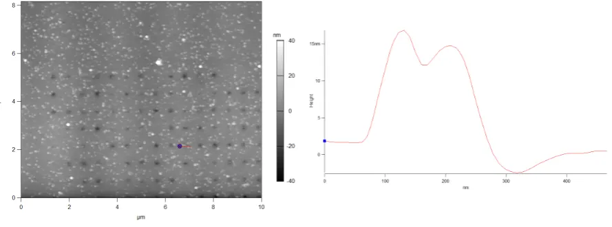 FIGURE 11: A 2.2×2.2 μm AFM sub-scan of the same 10×10 μm with a height trace (red line)of the same beads.