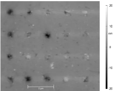 FIGURE 2: An AFM (Atomic Force Microscope) image of an 4×5 section of the array, showing