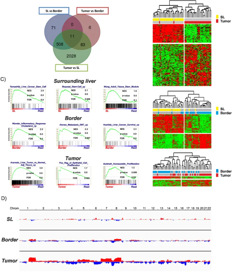 Figure 1: Transcriptomic and genomic profiles of the different regions.  A. Venn diagram demonstrating the overlap between  the different gene expression signatures