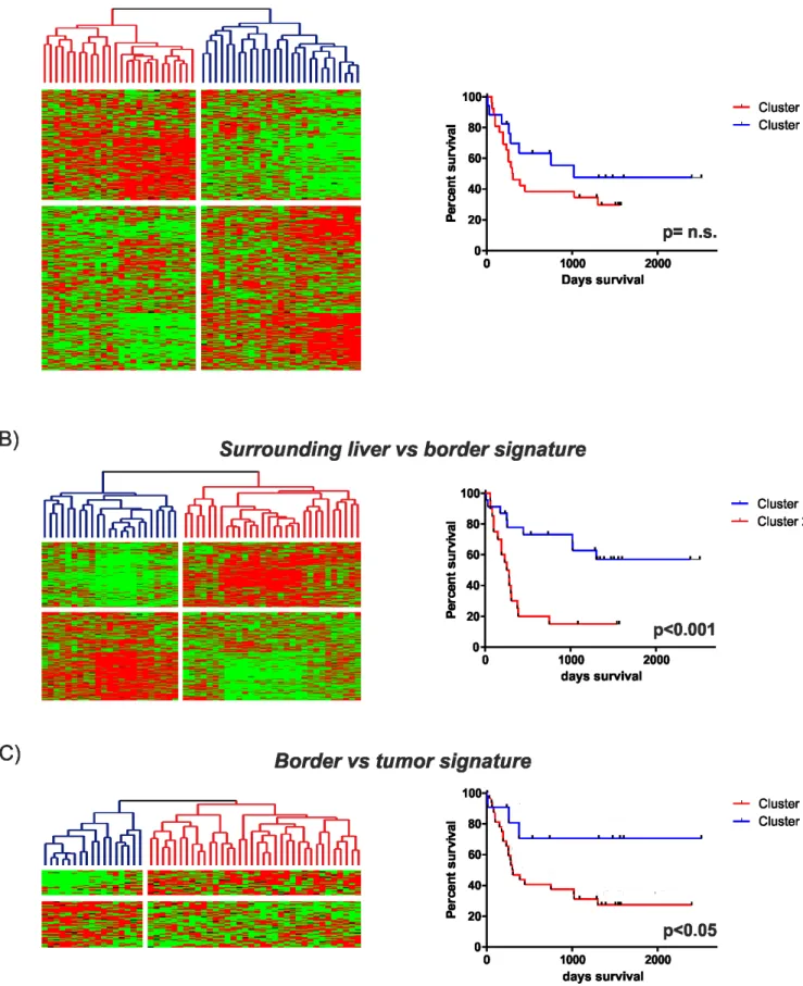Figure 5: Prognostic implications of the identified gene expression signatures.  Integration of the different gene expression  signatures with our previously published dataset of 53 HCC patients [19]