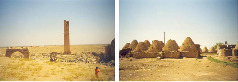 Figure 11. Balıklı Lake, Nemrut Castle (Urfa)  