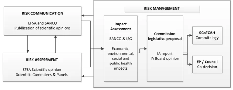 Figure 7: Risk analysis process 