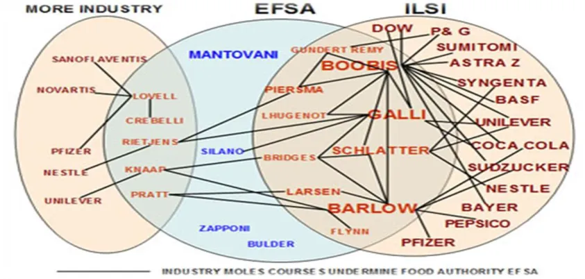 Figure 8: EFSA network structure 