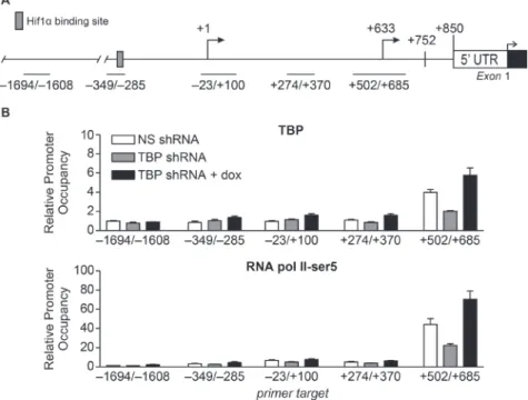 Figure 6: Alterations in TBP expression are positively correlated with occupancy of TBP and initiated RNA pol II at  the proximal TSS