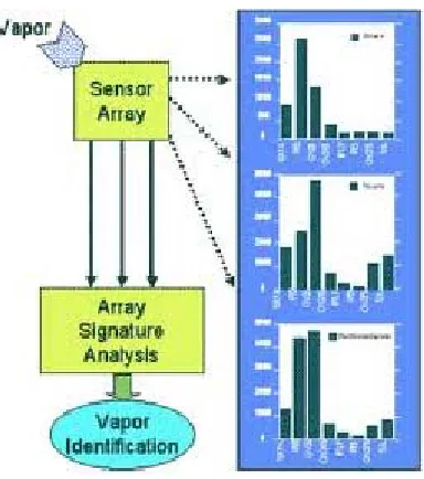 Fig. 7: Data Analysis for Multi-Sensor