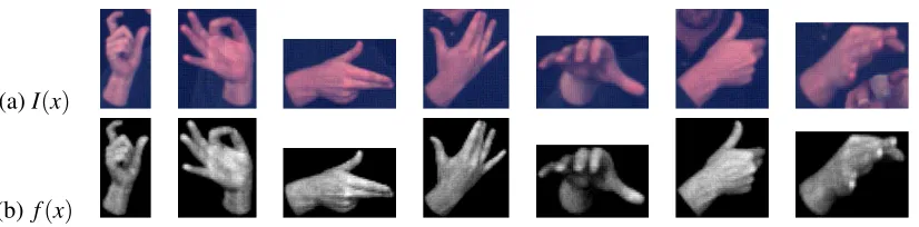 Figure 4: Construction of Shape-Appearance images. (a) Cropped hand images I(x). (b) Corre-sponding Shape-Appearance images f(x)