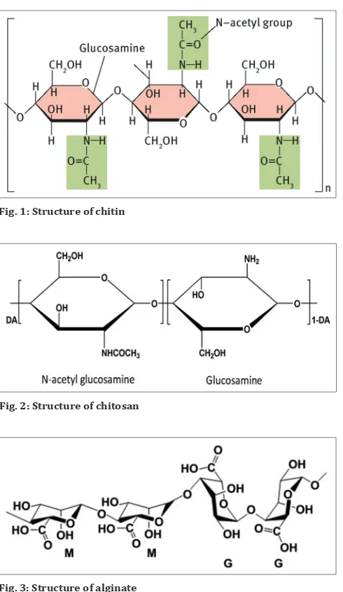 Fig. 3: Structure of alginate