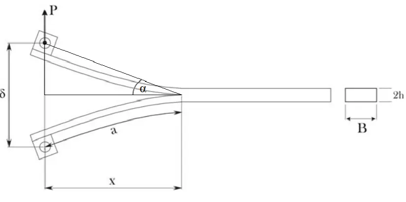 Figure 2.4: Partially delaminated sample with representation of parameters [5] 
