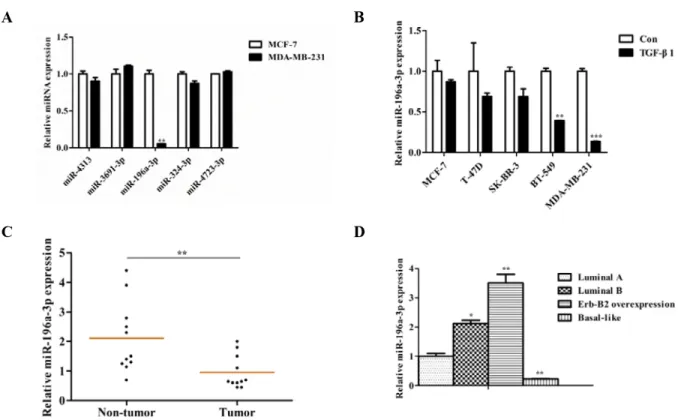Figure 1: miR-196a-3p is reduced in breast cancer cell lines and clinical specimens.  (A) The expression of TGF-β1-inhibited  miRNAs was evaluated by qRT-PCR in breast cancer cell lines with different metastatic potentials