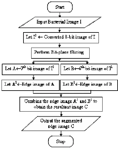 Fig. 2: Flowchart of the Proposed Method