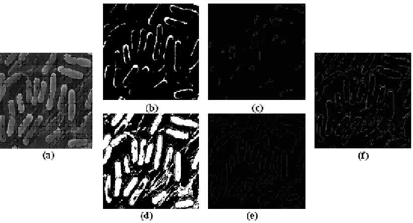 Fig. 3: Process of Edge Detection based on Bit-Plane Slicing; (a) Original Image