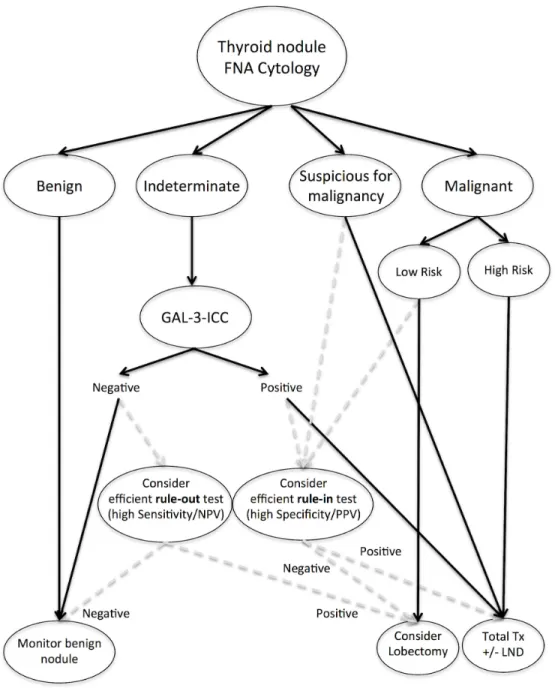 Figure 7: Algorithm for management of thyroid nodules.