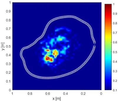 Figure 13. Tomographic reconstruction of the complex-shaped hardwood tree scenario with time-