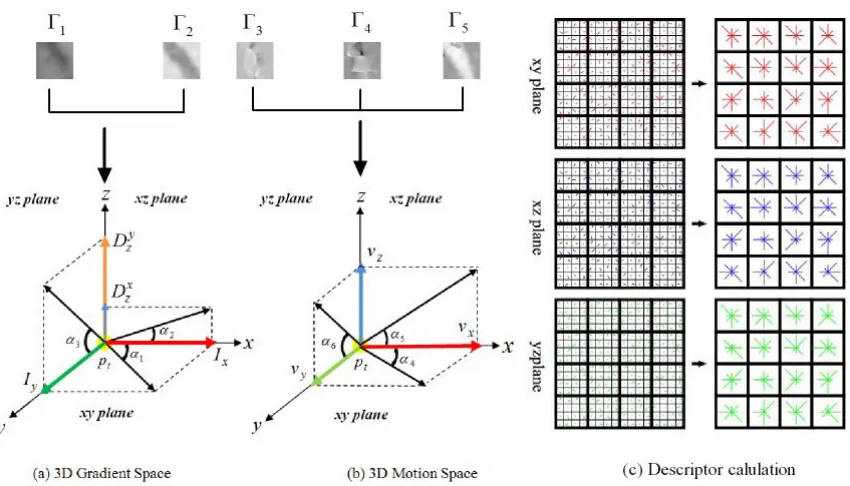 Figure 8: Computing the feature descriptor in two parts: (a) 3D Gradient Space, (b) 3D MotionSpace, (c) Feature descriptor calculation