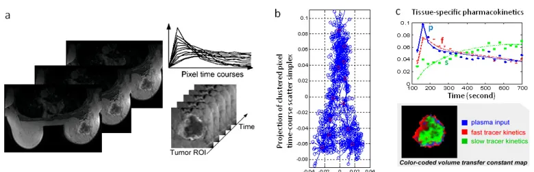 Figure 3: Application of R-Java CAM to deconvolving dynamic medical image sequence.