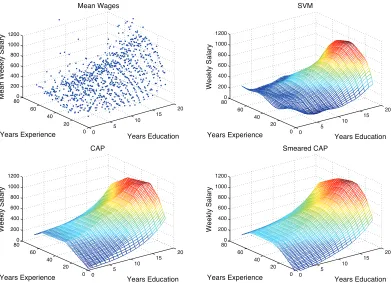 Figure 9: Mean weekly wage based on years of experience and years of education (top left), pre-dicted values using SVM regression (top right), CAP (bottom left), and smeared CAP(bottom right).
