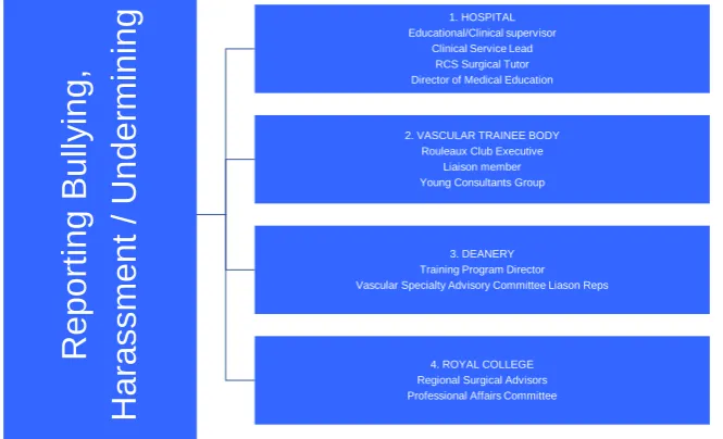 Figure 1:Referral pathway for Bullying. 