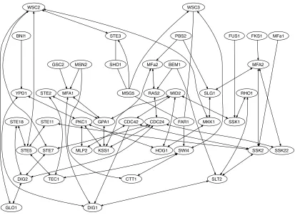 Figure 2: Largest connected component in the output of the Kendall RPC algorithm applied toexpression data for genes in the MAPK pathway in yeast.