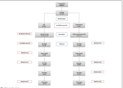 Fig. 2 Study flowchart