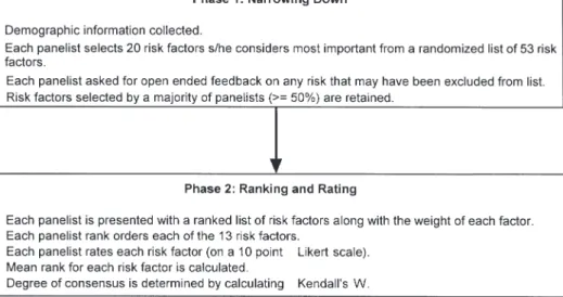Figure 1. Delphi methodology used to obtain the user perspective on risk.