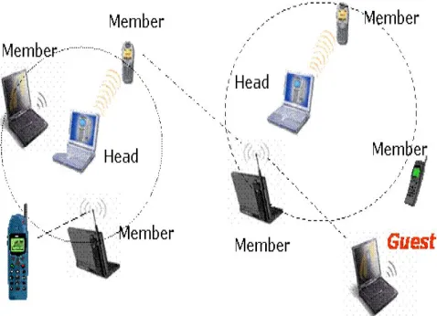 Figure 1.1 Mobile Ad-hoc NETwork 